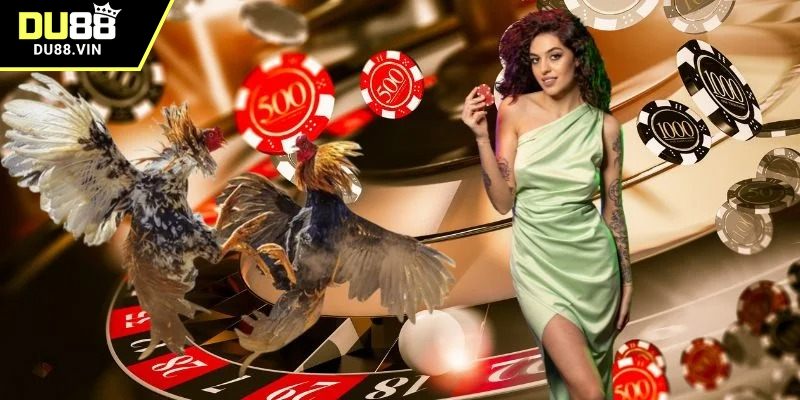 Cửa BDD uy tín hàng đầu khi cược