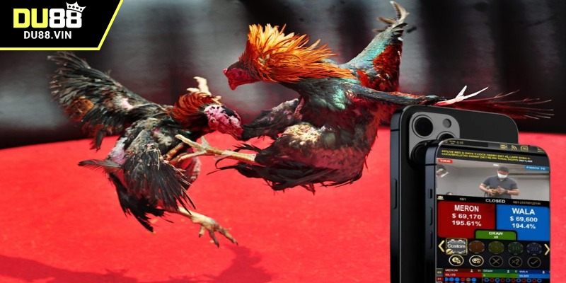 Kinh nghiệm giúp thắng lớn tại phần mềm đá gà DU88